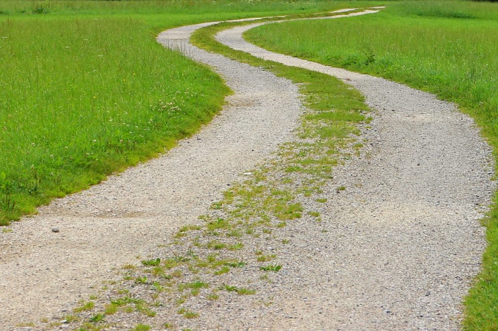 dirt road, path, green-409096.jpg